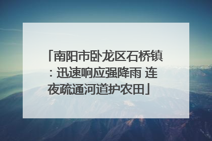 南阳市卧龙区石桥镇：迅速响应强降雨 连夜疏通河道护农田