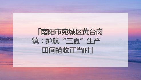 南阳市宛城区黄台岗镇：护航“三夏”生产 田间抢收正当时