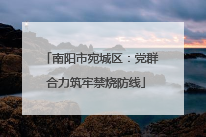 南阳市宛城区：党群合力筑牢禁烧防线