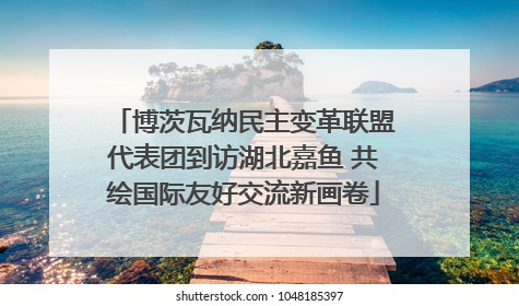 博茨瓦纳民主变革联盟代表团到访湖北嘉鱼 共绘国际友好交流新画卷
