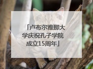 卢布尔雅那大学庆祝孔子学院成立15周年