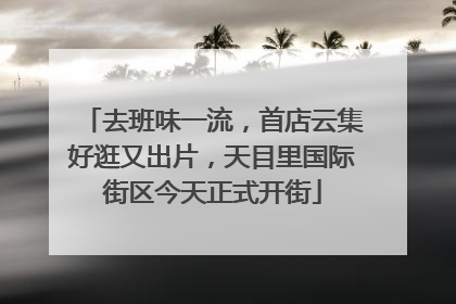 去班味一流，首店云集好逛又出片，天目里国际街区今天正式开街