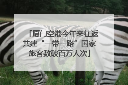 厦门空港今年来往返共建“一带一路”国家旅客数破百万人次