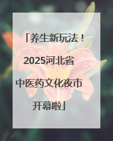养生新玩法！2025河北省中医药文化夜市开幕啦