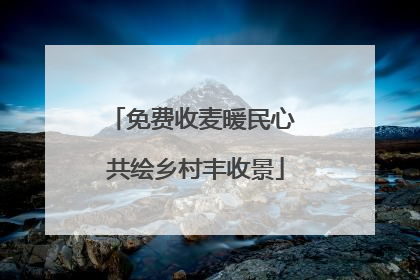 免费收麦暖民心 共绘乡村丰收景