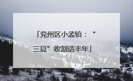 兖州区小孟镇：“三夏”收割话丰年