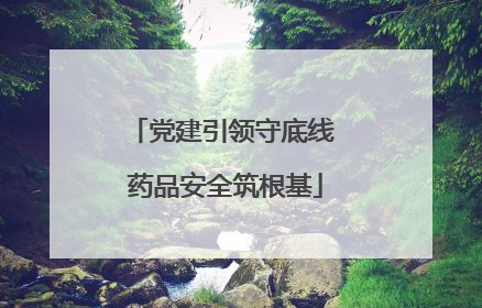 党建引领守底线 药品安全筑根基