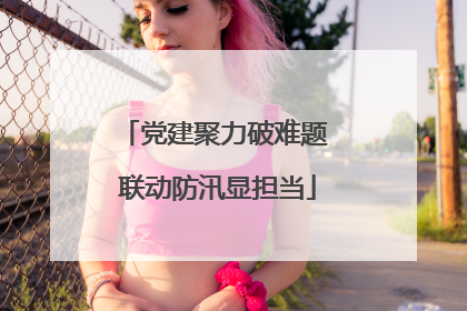 党建聚力破难题 联动防汛显担当