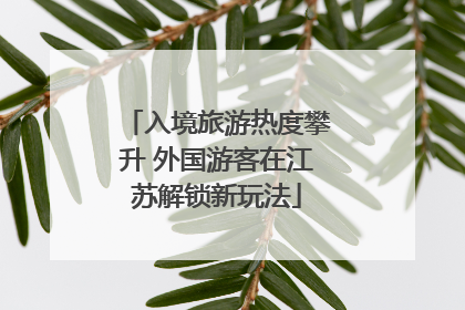 入境旅游热度攀升 外国游客在江苏解锁新玩法
