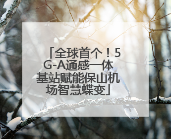 全球首个！5G-A通感一体基站赋能保山机场智慧蝶变