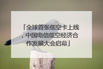 全球首张低空卡上线，中国电信低空经济合作发展大会启幕
