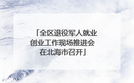 全区退役军人就业创业工作现场推进会在北海市召开