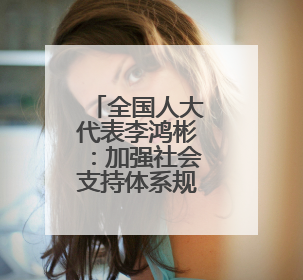 全国人大代表李鸿彬：加强社会支持体系规范化建设