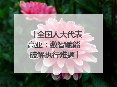 全国人大代表高亚：数智赋能破解执行难题