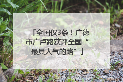 全国仅3条！广德市广卢路获评全国“最具人气的路”