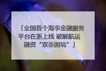 全国首个海事金融服务平台在浙上线 破解航运融资“双重困境”
