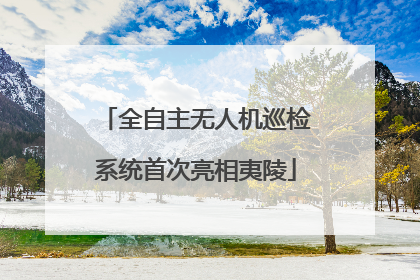 全自主无人机巡检系统首次亮相夷陵