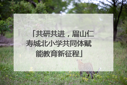 共研共进，眉山仁寿城北小学共同体赋能教育新征程