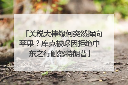 关税大棒缘何突然挥向苹果？库克被曝因拒绝中东之行触怒特朗普