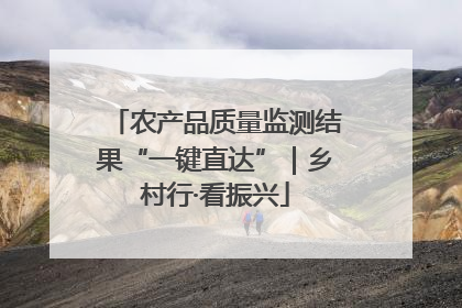 农产品质量监测结果“一键直达”｜乡村行·看振兴