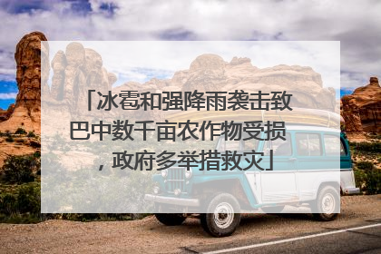冰雹和强降雨袭击致巴中数千亩农作物受损，政府多举措救灾