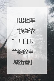 出租车“换新衣”！白玉兰绽放申城街巷