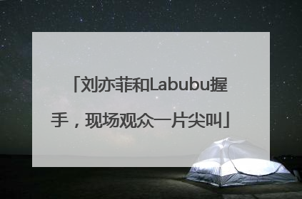 刘亦菲和Labubu握手，现场观众一片尖叫
