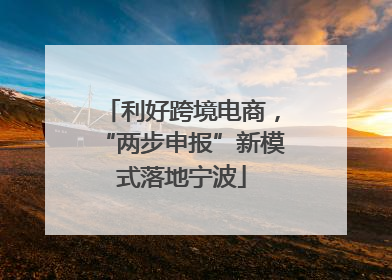 利好跨境电商，“两步申报”新模式落地宁波