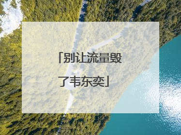 别让流量毁了韦东奕