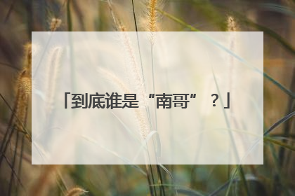 到底谁是“南哥”？