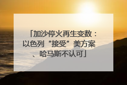 加沙停火再生变数：以色列“接受”美方案、哈马斯不认可