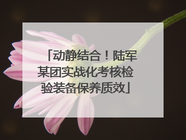 动静结合！陆军某团实战化考核检验装备保养质效