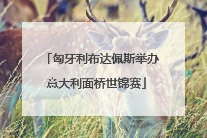匈牙利布达佩斯举办意大利面桥世锦赛