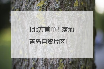北方首单！落地青岛自贸片区