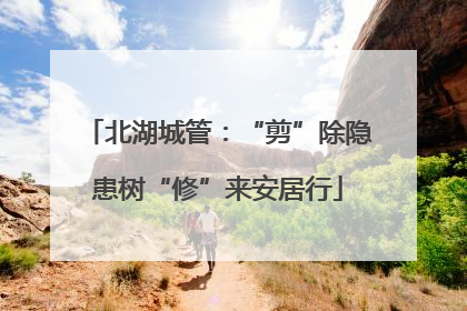 北湖城管：“剪”除隐患树“修”来安居行