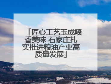 匠心工艺玉成喷香美味 石家庄扎实推进粮油产业高质量发展