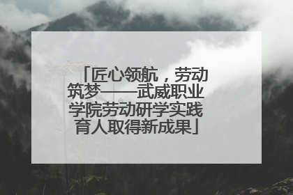 匠心领航，劳动筑梦——武威职业学院劳动研学实践育人取得新成果