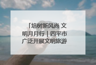 培树新风尚 文明月月行｜四平市广泛开展文明旅游主题实践活动