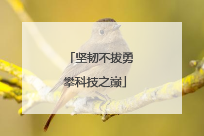 坚韧不拔勇攀科技之巅