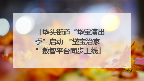 垡头街道“垡宝演出季”启动 “垡宝治家”数智平台同步上线