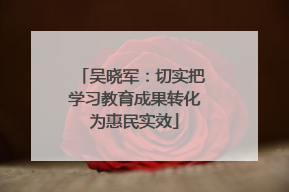 吴晓军：切实把学习教育成果转化为惠民实效