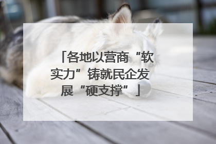 各地以营商“软实力”铸就民企发展“硬支撑”