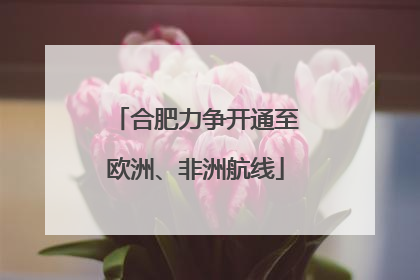 合肥力争开通至欧洲、非洲航线