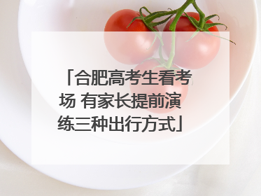 合肥高考生看考场 有家长提前演练三种出行方式