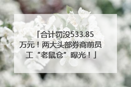 合计罚没533.85万元！两大头部券商前员工“老鼠仓”曝光！