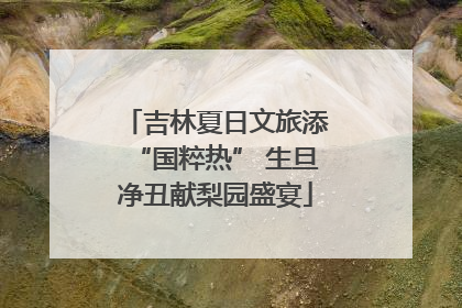吉林夏日文旅添“国粹热” 生旦净丑献梨园盛宴