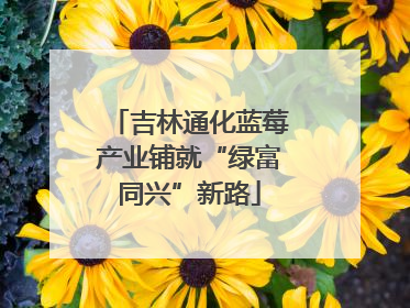 吉林通化蓝莓产业铺就“绿富同兴”新路