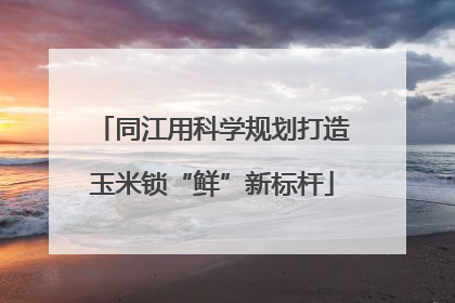 同江用科学规划打造玉米锁“鲜”新标杆