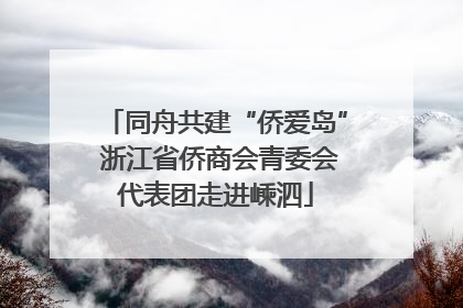 同舟共建“侨爱岛” 浙江省侨商会青委会代表团走进嵊泗