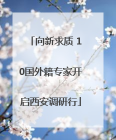 向新求质 10国外籍专家开启西安调研行